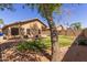 Home's backyard with mature trees and block fence at 9423 E Posada Ave, Mesa, AZ 85212