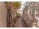 Private side yard with decorative wall trellis and comfortable seating area at 1153 E Muirwood Dr, Phoenix, AZ 85048