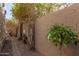 Secluded backyard featuring trees, wall trellis and a brick walkway at 1153 E Muirwood Dr, Phoenix, AZ 85048