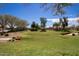 Expansive green space with trees and landscaping in a residential community at 12240 W Scotts Dr, El Mirage, AZ 85335