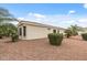 Desert landscaped backyard featuring manicured shrubbery, gravel ground cover, and mature palm trees at 12839 W Rincon Ct, Sun City West, AZ 85375