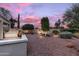 Beautiful backyard showcasing desert landscaping, mature trees, and a private setting with elegant decorative touches at 12839 W Rincon Ct, Sun City West, AZ 85375