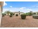 Well-maintained backyard featuring gravel ground cover and manicured shrubbery at 12839 W Rincon Ct, Sun City West, AZ 85375