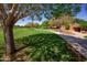Expansive green space with manicured lawn, mature trees, and a meandering path at 14372 W Aster Dr, Surprise, AZ 85379