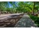 Scenic street view with lush trees lining the sidewalk and street at 14372 W Aster Dr, Surprise, AZ 85379
