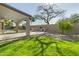 Backyard featuring a covered patio with built-in grill, large shade tree, and a view of the sparkling pool at 20802 N 74Th Ln, Glendale, AZ 85308