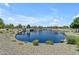 Picturesque community pond with a rocky shoreline, lush landscaping, pedestrian bridge, and sheltered picnic areas at 3690 E Blue Spruce Ln, Gilbert, AZ 85298