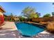 Private backyard oasis with a sparkling pool, manicured landscaping and desert flowers at 4839 E Marilyn Rd, Scottsdale, AZ 85254