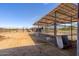 Well-equipped horse facilities with sturdy stalls and open space for horses to roam at 836 W Lenora Way, San Tan Valley, AZ 85140