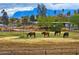Horses grazing in the lush pasture, set against a backdrop of scenic mountains and clear skies, a perfect horse property at 836 W Lenora Way, San Tan Valley, AZ 85140