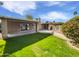 Green backyard featuring a covered patio, lush lawn, and mature landscaping at 12037 S Bannock St, Phoenix, AZ 85044