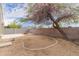 Large backyard with desert landscaping, tall shade tree, rock decor and a firepit at 14838 N 172Nd Ln, Surprise, AZ 85388