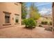 Charming backyard patio with decorative tile and a beautiful green tree feature in the center at 15289 W Valentine St, Surprise, AZ 85379