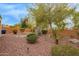 Low maintenance backyard with desert landscaping and a rock ground cover at 20512 N 260Th Ln, Buckeye, AZ 85396