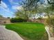 Expansive backyard with lush green lawn, mature trees and privacy landscaping, ideal for outdoor activities at 4122 E Burnside Trl, Cave Creek, AZ 85331