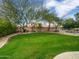 Green backyard featuring lush green lawn, mature trees and privacy landscaping with a view of the community pool at 4122 E Burnside Trl, Cave Creek, AZ 85331