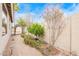 Quaint side yard with decorative arbor, mature trees, and gravel path at 44 W Teakwood Pl, Chandler, AZ 85248