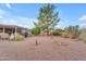 Large backyard with desert landscaping, covered patio, and mature shade trees provides a peaceful retreat at 4720 E Flossmoor Cir, Mesa, AZ 85206