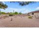 Private backyard featuring low-maintenance desert landscaping, cacti, and rock features, along with a covered patio at 4720 E Flossmoor Cir, Mesa, AZ 85206