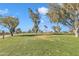 Wide open golf course view with lush green grass and mature trees under a clear blue sky at 4720 E Flossmoor Cir, Mesa, AZ 85206