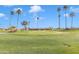 Scenic view of the golf course with manicured greens, mature palm trees, and blue sky at 4720 E Flossmoor Cir, Mesa, AZ 85206