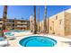 Exterior shot of the community hot tub featuring tall palm trees and desert landscaping at 4950 N Miller Rd # 231, Scottsdale, AZ 85251