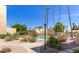 Beautiful community pool area surrounded by mature palm trees, lounge chairs and manicured desert landscaping at 4950 N Miller Rd # 231, Scottsdale, AZ 85251