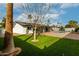 Expansive backyard with a sparkling pool, lush grass, and palm trees at 501 E Hermosa Dr, Tempe, AZ 85282