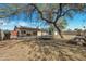 Large tree in the backyard provides shade for relaxing and playing outside at 635 W Pecos Ave, Mesa, AZ 85210