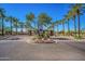 Community entrance with stone pillars, mature palm trees, and manicured landscaping at 9113 N 116Th Way, Scottsdale, AZ 85259