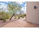 Tranquil walkway lined with desert plants and beautiful landscaping on the side of the home at 9113 N 116Th Way, Scottsdale, AZ 85259