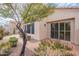 Attractive side yard featuring desert landscaping, a beautiful tree, and large windows at 9113 N 116Th Way, Scottsdale, AZ 85259