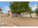 Spacious backyard with lush citrus tree and a sparkling pool at 16833 N 17Th Pl, Phoenix, AZ 85022