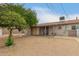 View of spacious backyard with large citrus tree and covered patio at 16833 N 17Th Pl, Phoenix, AZ 85022