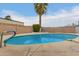 Sparkling blue swimming pool with a palm tree in the backyard at 16833 N 17Th Pl, Phoenix, AZ 85022