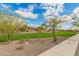 Community green featuring desert landscaping, sparse trees, and sidewalks at 17845 W Red Fox Rd, Surprise, AZ 85387