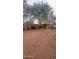 View of the large backyard with mature trees, offering ample space for outdoor activities at 18293 W Elm St, Surprise, AZ 85388