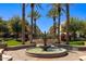 Scenic fountain with palm trees and lush landscaping within a meticulously maintained community area at 21008 W Cora Vis, Buckeye, AZ 85396