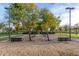 Picturesque park featuring bocce ball courts and shaded seating areas for relaxation and recreation at 22552 E Via Estancia --, Queen Creek, AZ 85142