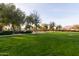 A large, green park with plenty of trees and benches at 22552 E Via Estancia --, Queen Creek, AZ 85142