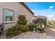 Lush backyard landscaping featuring mature plants, stone accents, and manicured garden beds create a serene outdoor retreat at 5831 N 196Th Ln, Litchfield Park, AZ 85340