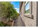 Narrow side yard showcases a well-maintained walkway bordered by lush plants and manicured foliage at 5831 N 196Th Ln, Litchfield Park, AZ 85340