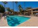 Bright and refreshing community pool surrounded by palm trees, lush greenery, and residential buildings under a clear blue sky at 5877 N Granite Reef Rd # 1145, Scottsdale, AZ 85250