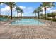 Relaxing community pool featuring lounge chairs, palm trees, and clear blue water on a sunny day at 9743 E Torino Ave, Mesa, AZ 85212