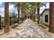 Paver walkway lined with palm trees leading to a community clubhouse at 9743 E Torino Ave, Mesa, AZ 85212