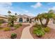 Beautiful single-story home featuring mature palm trees, desert landscaping, and a welcoming walkway at 15816 W Amelia Dr, Goodyear, AZ 85395