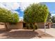 Charming single-story home with mature trees and a well-maintained yard at 641 N 61St Pl, Mesa, AZ 85205