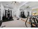 Modern home gym with weight machines, mirrors, and neutral carpeting at 7482 S Mccormick Way, Queen Creek, AZ 85142