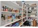 Walk-in pantry with shelving offers organized storage for food and household items at 10256 W Appaloosa Trl, Casa Grande, AZ 85194