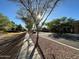 Scenic street view lined with mature trees, offering shade and curb appeal at 1131 W Sierra Madre Ave, Gilbert, AZ 85233